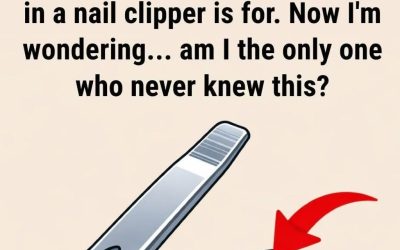 Ever Noticed That Tiny Hole on Your Nail Clipper? Here’s What It’s Actually For