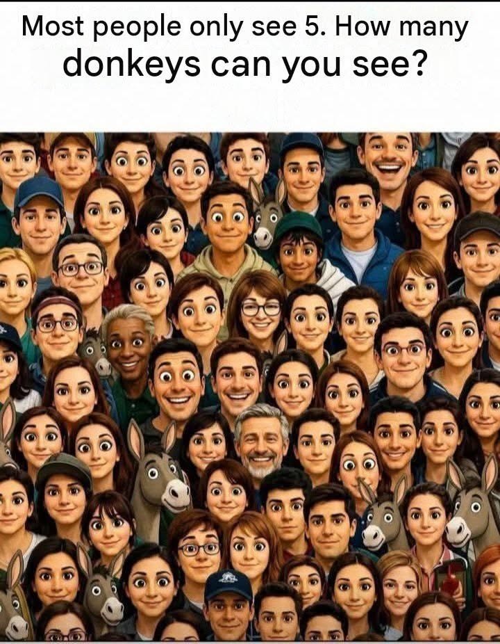 HOW MANY DONKEY CAN YOU SEE