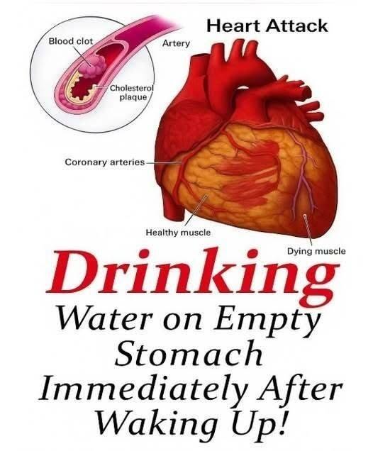 Water is fundamental to human life, making up roughly 60% of the adult body and playing a vital role in nearly every physiological process.  It transports essential nutrients and oxygen through the bloodstream, helps regulate body temperature, and supports digestion by breaking down food and moving it through the gastrointestinal tract. Water also cushions organs and lubricates joints, enabling smooth movement.  Because water is continuously lost through breathing, sweating, and excretion, the body requires a steady intake to maintain balance. While wellness trends often promote drinking water immediately upon waking—claiming it can “detoxify” the body or jumpstart metabolism—scientific evidence shows that these benefits are not dependent on timing. What truly matters is consistent hydration throughout the day.  After a full night’s sleep, the body naturally becomes mildly dehydrated due to several hours without fluid intake. Drinking a glass of water in the morning can help restore fluid balance, potentially improving alertness and providing a refreshing start to the day. Some people feel more energized after doing so, although this may partly reflect the psychological effect of starting the day with a healthy habit.  However, research indicates that the body absorbs and uses water similarly regardless of when it is consumed. The kidneys, heart, and circulatory system do not function differently based on the time of day you drink water.  Therefore, while morning hydration can be helpful, it is total daily intake that supports optimal health—helping maintain cognitive function, prevent fatigue, and reduce the risk of headaches and dehydration.  A common belief is that drinking water in the morning “flushes toxins” from the body. In reality, the body already has highly effective detoxification systems. The kidneys continuously filter the blood to remove waste, while the liver processes and neutralizes harmful substances.  Water supports these systems by aiding circulation and waste removal, but drinking large amounts at a specific time does not enhance detoxification beyond normal physiological function. Relying on morning water consumption as a “detox” strategy is therefore misleading; overall hydration and a balanced lifestyle are what truly support the body’s natural processes.   Practical Hydration Tips     continued on the next page  Practical Hydration Tips 1. Start your day hydrated (but don’t overthink it)  A glass of water in the morning is fine—it helps replace overnight fluid loss—but it’s not a magic health boost.  2. Focus on total daily intake Most adults need roughly 2–3 liters per day (varies by size, climate, activity). A simple guide: pale yellow urine = well hydrated 3. Drink consistently, not all at once  Spacing water intake throughout the day is more effective than drinking a large amount at one time.  4. Adjust for activity and environment Exercise, heat, or illness → increase fluids You may also need electrolytes if sweating heavily 5. Don’t rely on thirst alone  Thirst can lag behind actual dehydration, especially in older adults.  6. Include water-rich foods  Fruits and vegetables like cucumbers, oranges, and watermelon contribute to hydration.  7. Be cautious with “detox” claims  Your body already detoxifies efficiently—focus on:  Balanced diet Regular exercise Adequate sleep 8. Avoid overhydration  Drinking excessive water can dilute sodium levels (rare but serious). Balance is key.   About the heart attack claim in the image  There’s no solid scientific evidence that drinking water on an empty stomach directly prevents heart attacks. Heart health is influenced by factors like:  Blood pressure Cholesterol levels Diet and exercise Smoking and genetics  Hydration supports overall health, but it’s not a standalone prevention method for heart disease.